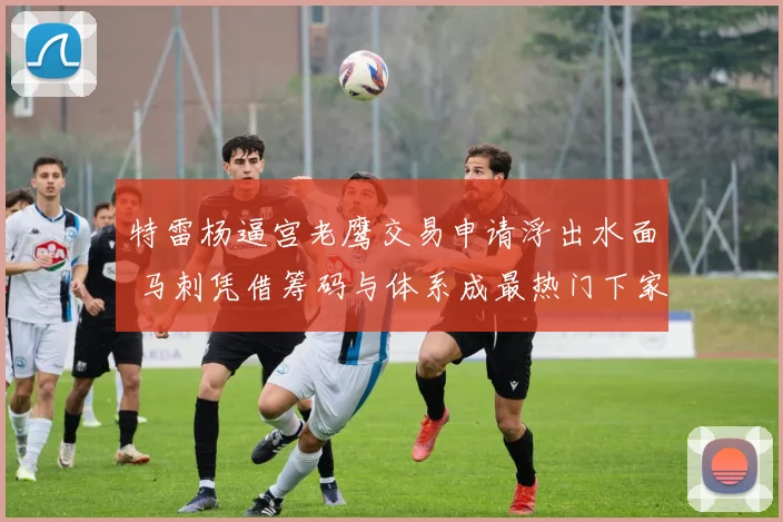 特雷杨逼宫老鹰交易申请浮出水面 马刺凭借筹码与体系成最热门下家