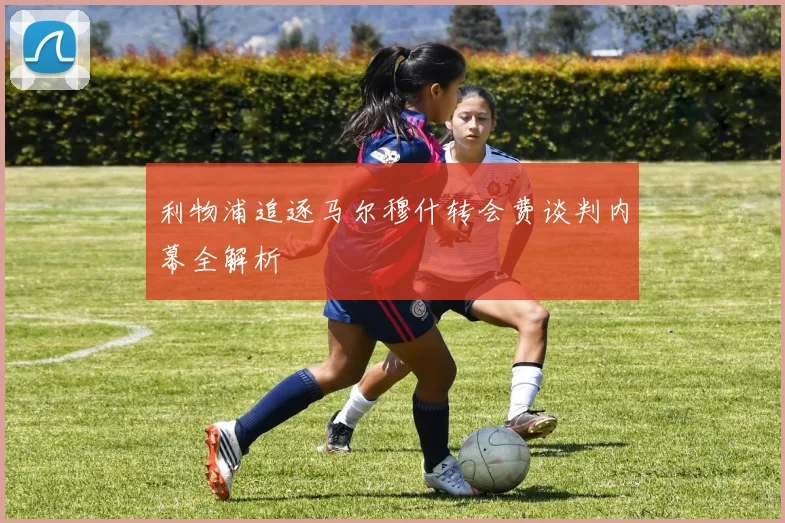 利物浦追逐马尔穆什转会费谈判内幕全解析