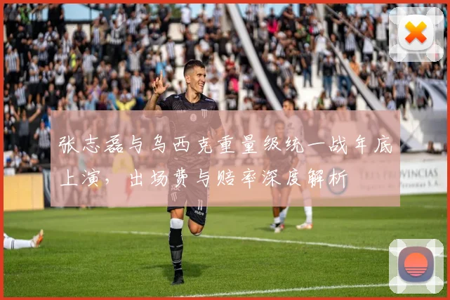 张志磊与乌西克重量级统一战年底上演，出场费与赔率深度解析
