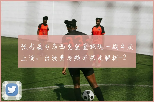 张志磊与乌西克重量级统一战年底上演，出场费与赔率深度解析